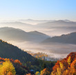 Majestic autumn rural scenery. Landscape with beautiful mountains, fields and forests covered with morning fog. There are trees on the lawn full of orange leaves. Picturesque resort Carpathian, Europa