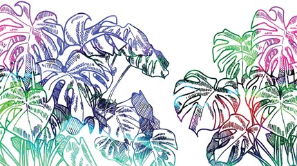 Wall Mural - Stylish background with tropical plants. Botanical illustration. Monstara with large leaves. Professional drawing in vintage style. Drawing with ink, drawing with a pen.