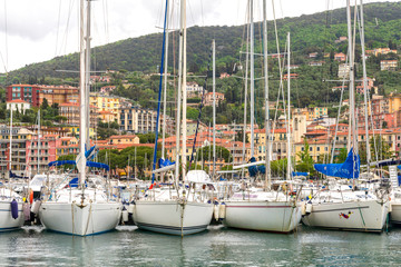 Wall Mural - Lerici - 3