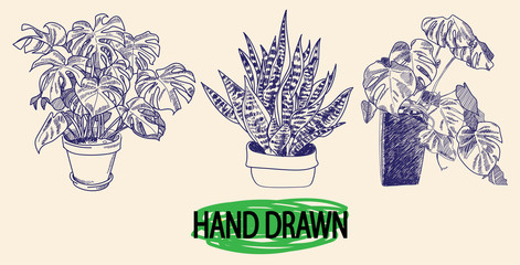 Wall Mural - Houseplants. A set of images. Flowers in pots. Monstera, sansevieria, aloe. Drawing by hand, drawing pen.