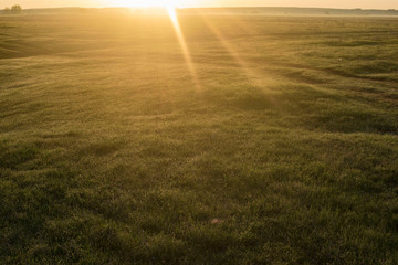  sunset over green field