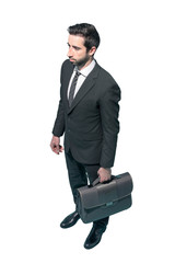 Wall Mural - Businessman standing with briefcase