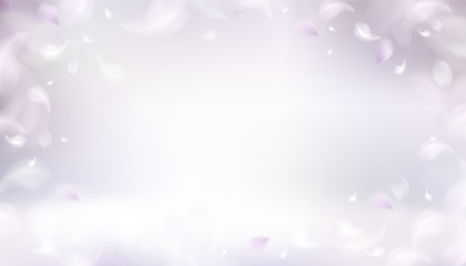 Wall Mural - Soft spring background with purple blurred flower petals