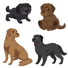 Sticker - Labrador icons set. Cartoon set of labrador vector icons for web design