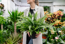 A Young Woman Holding A Nephrolepis Plants, Fern, Chooses A Plant For The House. Many Different Plants In Flower Pots In Flowers Store. Garden Center And Wholesale Supplier Concept.
