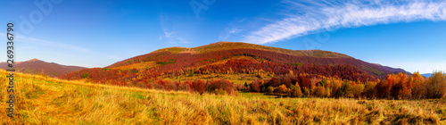 Obrazy Bieszczady  panorama-gor-jesienia-w-promieniach-zachodu-slonca-mewdow-gora-carynska-bieszczady-narodowe