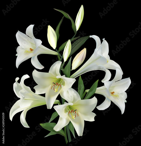 Fotomural pure lilly with six blooms on black
