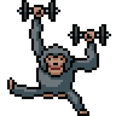 Wall Mural - vector pixel art monkey mischievous