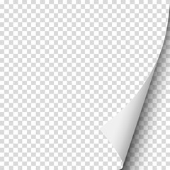 Wall Mural - Sheet of transparent paper with curled lower right corner. Vector paper mockup.