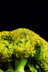 Wall Mural - Broccoli isolated on black background