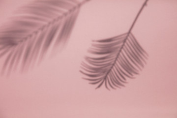 Wall Mural - Tropical palm tree leaf shadow on a pastel pink background. Summertime layout