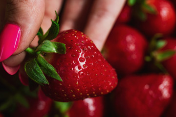 Wall Mural - Delicious fresh, ripe strawberries with tails, texture of large strawberries