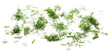 Fresh Green Dill Isolated On White Background