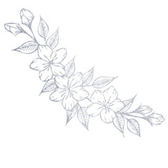 Wall Mural - A hand-drawn silver flower bouquet. Illustration of a flower on a white background.