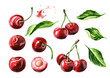 Fresh ripe cherry with leaves elements set. Watercolor hand drawn illustration, isolated on white background
