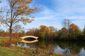 Wall Mural - beautiful fall landscape with a bridge in the city park. colored trees and bridge in sunlight reflec
