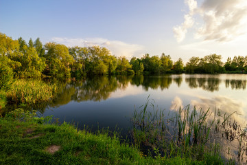 Wall Mural - Beautiful summer landscape near the lake