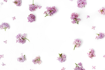 Wall Mural - frame with lilac petals on white background. flat lay, overhead view