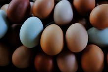 Close Up Of Brown And Blue Chicken Eggs From Farm.