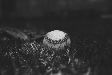 Poster - Low key baseball image in black and white shows moody sports style with ball closeup in grass.