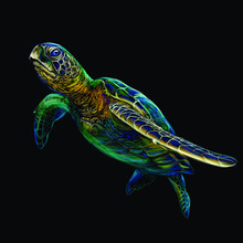 Sea Turtle. Realistic, Artistic, Colored Drawing Of A Sea Turtle On A Black Background.