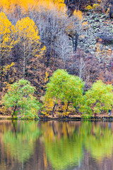 Wall Mural - Autumn landscape photography. Colorful forest background. 