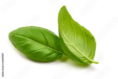 Fotografía Fresh basil leaves, close-up, isolated on white background
