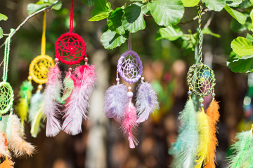 Colorful dreamcatcher on green summer tree in park. Nature, color concept