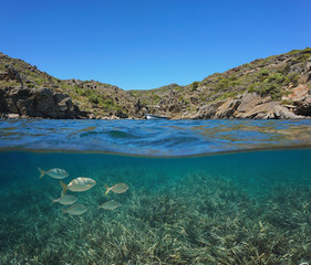 Wall Mural - Spain Mediterranean boat in a rocky cove with fish and Posidonia sea grass underwater, Costa Brava, Catalonia, split view half over and under water