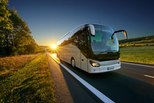 white bus traveling on the asphalt road around line of trees in rural landscape at sunset