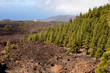 Panoramic landscape of the volcanic area