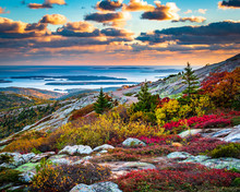 Cadillac Mountain In Acadia National Park In Fall