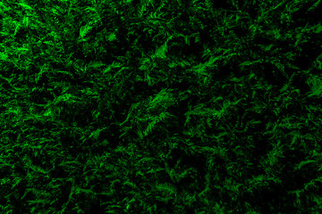 green abstract background