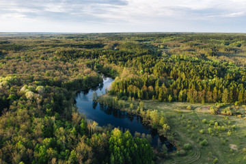 Wall Mural - Aerial view of small blue lake among green forest trees on a calm sunny evening