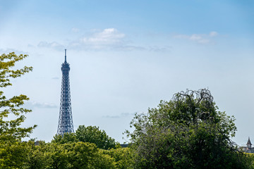 Wall Mural - Eiffel Tower one of the most iconic landmarks of Paris located on the Champ de Mars in Paris, France