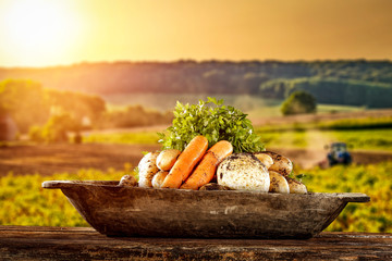 Wall Mural - Fresh vegetables and agriculture landscape 