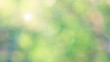 © jangnhut - Green bio background, abstract blurred foliage bright sunlight. Organic design nature abstract background with copyspace for text advertising design. Green abstract light background and bokeh effect