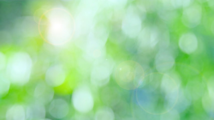 Wall Mural - nature green bokeh sun light flare and blur leaf abstract texture background, blurred natural green 