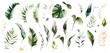 set watercolor leaves - monstera, banana palm, fern. herbal illustration. Botanic tropic composition.  Exotic modern design