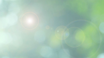 Wall Mural - nature green bokeh sun light flare and blur leaf abstract texture background, blurred natural green 