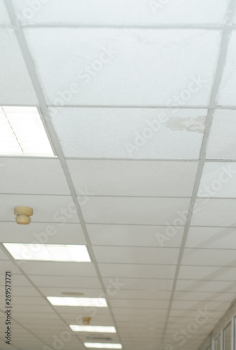 Plasterboard Ceiling Mold Damage Buy This Stock Photo And