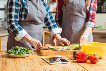 Midsection of women preparing salad chopping vegetables. Online recipe. Wholesome nutritious balanced meal dieting.