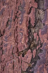 Wall Mural - Palisades is a State Park in South East South Dakota that is Rich in Sioux Quartzite