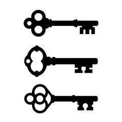 Wall Mural - Ornate key vector icon