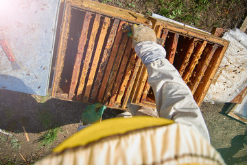 man in beekeeper costume holds frame with honeycombs and bees