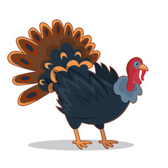 Cartoon turkey icon image vector isolated on white background.