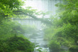 Beautiful misty mountain stream at Kitanisawa in summer, Daisen, Tottori, Japan.