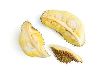 durian tropical fruit on white