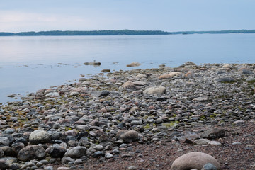 Wall Mural - stones on the beach