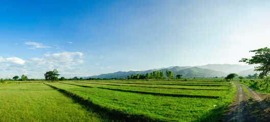 Wall Mural - Beautiful landscape, Phayao, Thailand,panolama ,blue sky White clouds